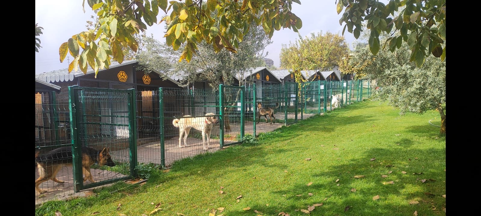 Burada huzur var...